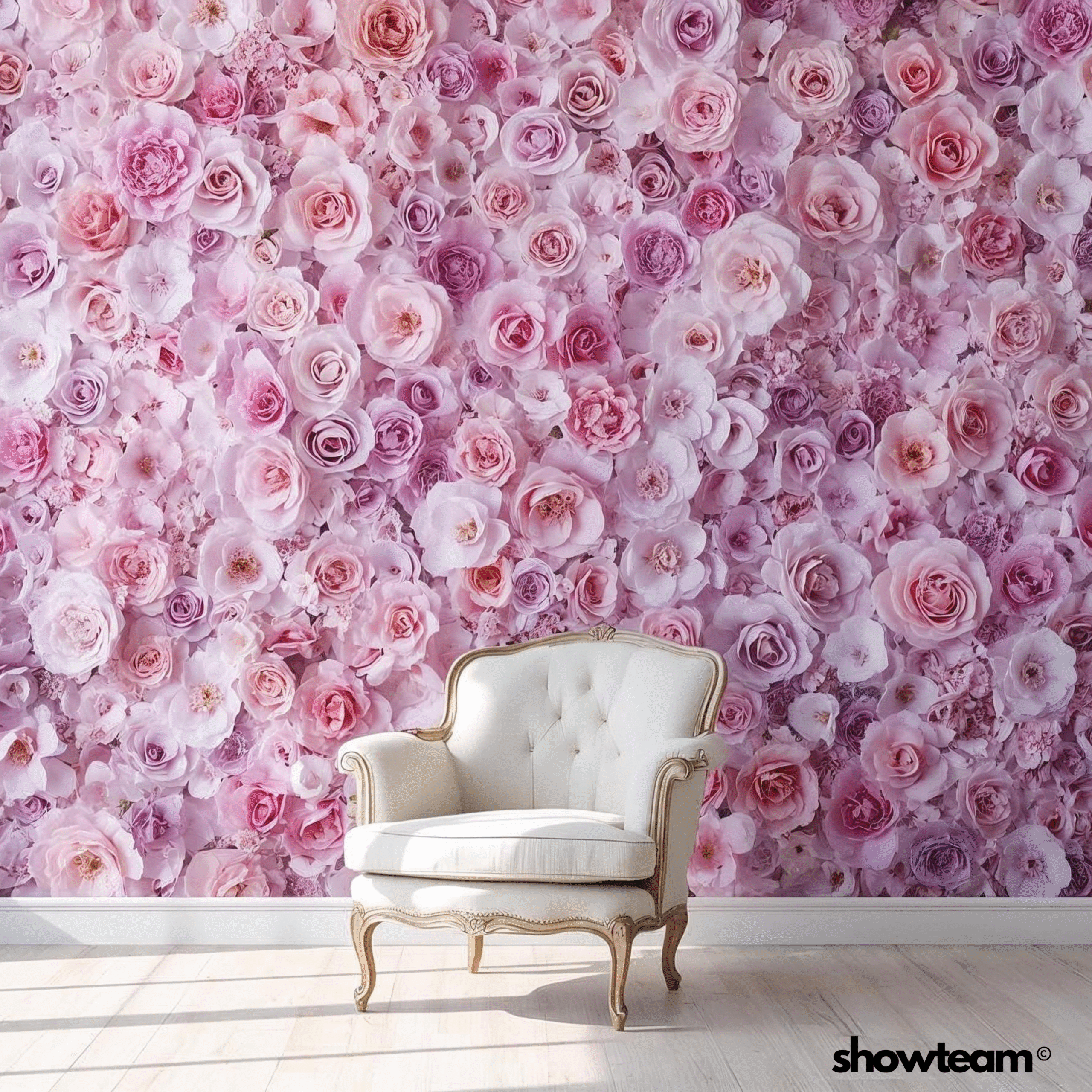 foto sienelės nuoma showteam